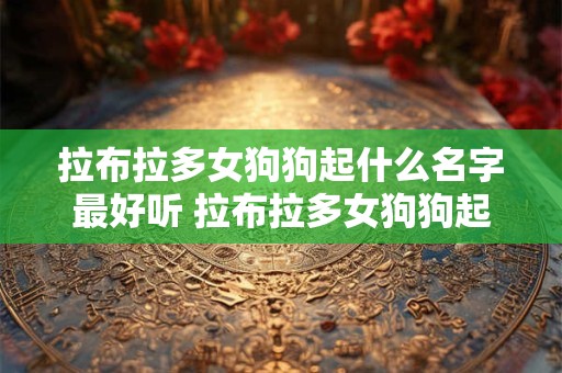拉布拉多女狗狗起什么名字最好听 拉布拉多女狗狗起什么名字最好听旺主人