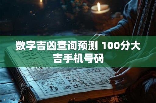 数字吉凶查询预测 100分大吉手机号码
