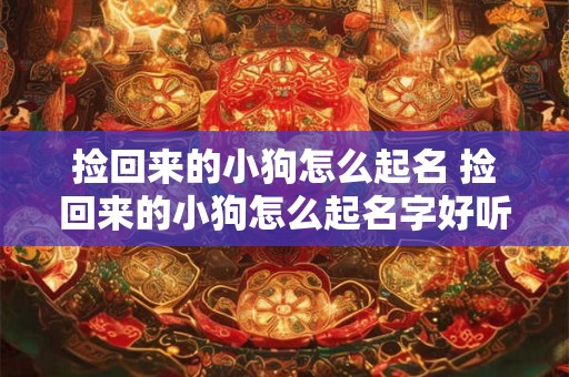 捡回来的小狗怎么起名 捡回来的小狗怎么起名字好听