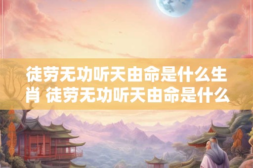 徒劳无功听天由命是什么生肖 徒劳无功听天由命是什么生肖呢
