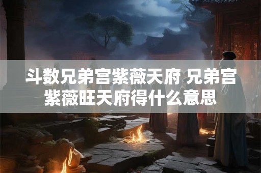 斗数兄弟宫紫薇天府 兄弟宫紫薇旺天府得什么意思