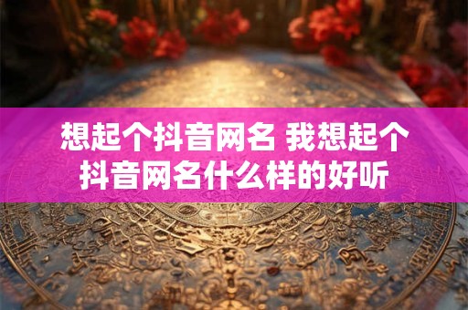 想起个抖音网名 我想起个抖音网名什么样的好听