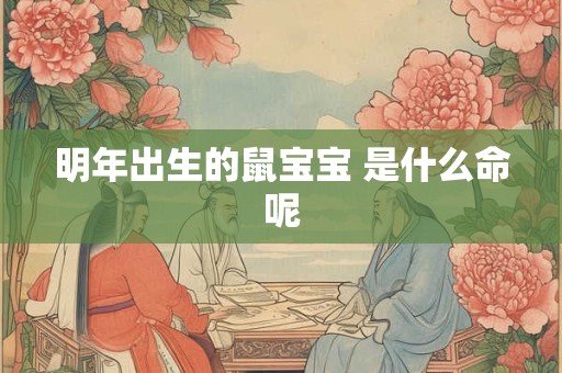 明年出生的鼠宝宝 是什么命呢