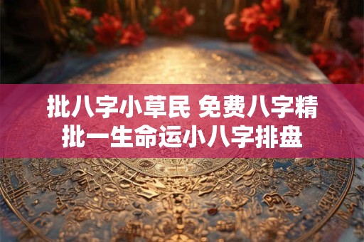 批八字小草民 免费八字精批一生命运小八字排盘