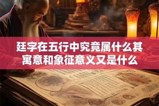 廷字在五行中究竟属什么其寓意和象征意义又是什么