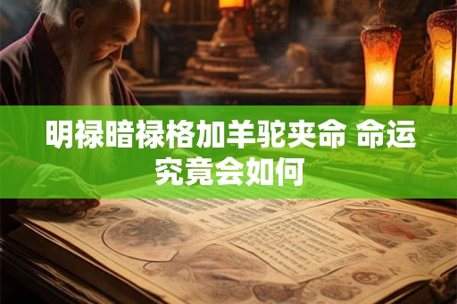明禄暗禄格加羊驼夹命 命运究竟会如何