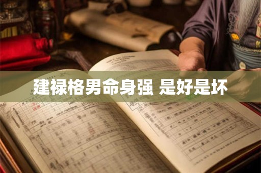 建禄格男命身强 是好是坏