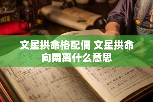 文星拱命格配偶 文星拱命向南离什么意思