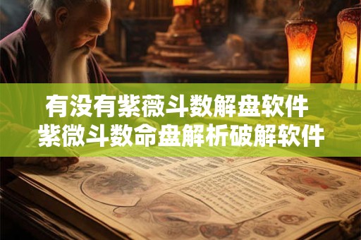 有没有紫薇斗数解盘软件 紫微斗数命盘解析破解软件