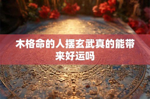 木格命的人摆玄武真的能带来好运吗