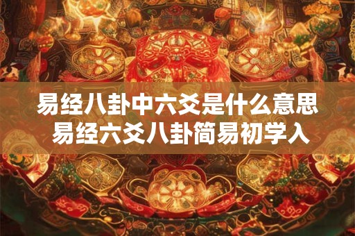 易经八卦中六爻是什么意思 易经六爻八卦简易初学入门第一讲