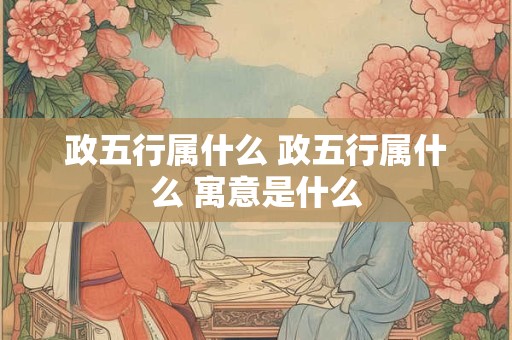 政五行属什么 政五行属什么 寓意是什么