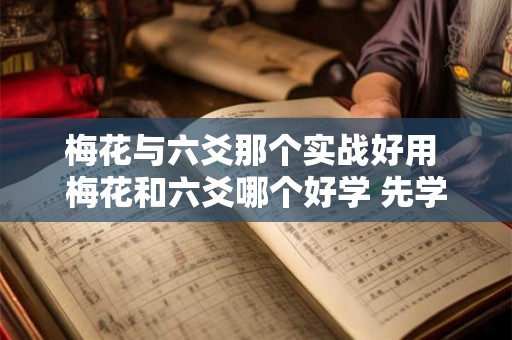 梅花与六爻那个实战好用 梅花和六爻哪个好学 先学