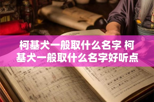 柯基犬一般取什么名字 柯基犬一般取什么名字好听点