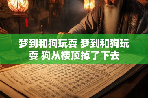 梦到和狗玩耍 梦到和狗玩耍 狗从楼顶掉了下去