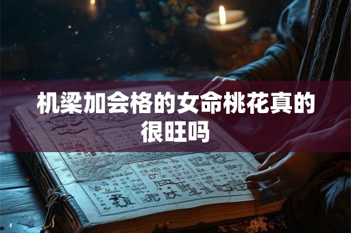 机梁加会格的女命桃花真的很旺吗