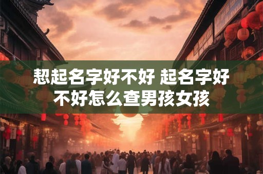 恝起名字好不好 起名字好不好怎么查男孩女孩