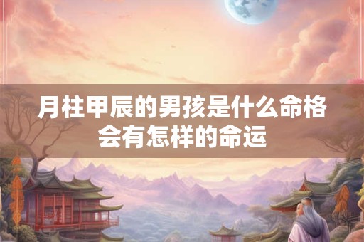 月柱甲辰的男孩是什么命格会有怎样的命运