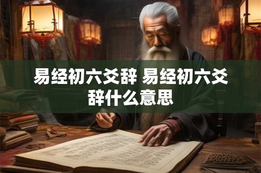 易经初六爻辞 易经初六爻辞什么意思