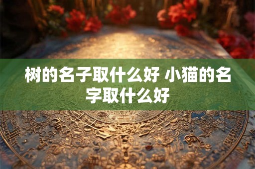 树的名子取什么好 小猫的名字取什么好