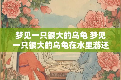 梦见一只很大的乌龟 梦见一只很大的乌龟在水里游还有鱼自己游泳 梦见一只很大的乌龟 梦见一只很大的乌龟在水里游还有鱼自己游泳