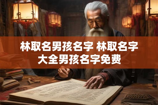 林取名男孩名字 林取名字大全男孩名字免费