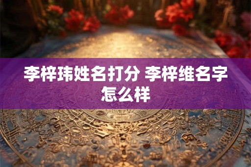 李梓玮姓名打分 李梓维名字怎么样