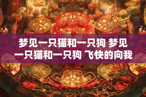 梦见一只猫和一只狗 梦见一只猫和一只狗 飞快的向我跑来