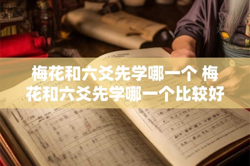 梅花和六爻先学哪一个 梅花和六爻先学哪一个比较好