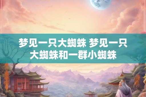 梦见一只大蜘蛛 梦见一只大蜘蛛和一群小蜘蛛