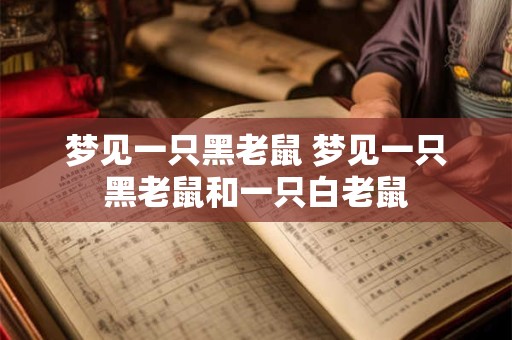 梦见一只黑老鼠 梦见一只黑老鼠和一只白老鼠