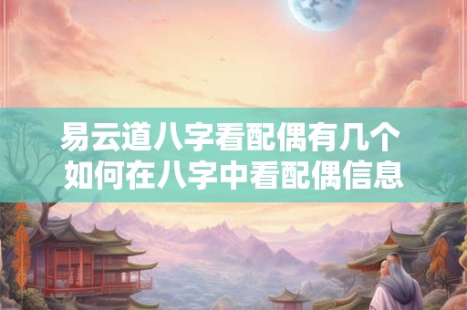 易云道八字看配偶有几个 如何在八字中看配偶信息