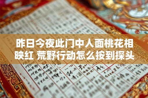 昨日今夜此门中人面桃花相映红 荒野行动怎么按到探头不能移动视角