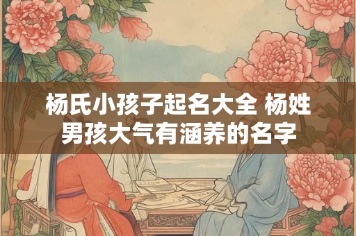 杨氏小孩子起名大全 杨姓男孩大气有涵养的名字