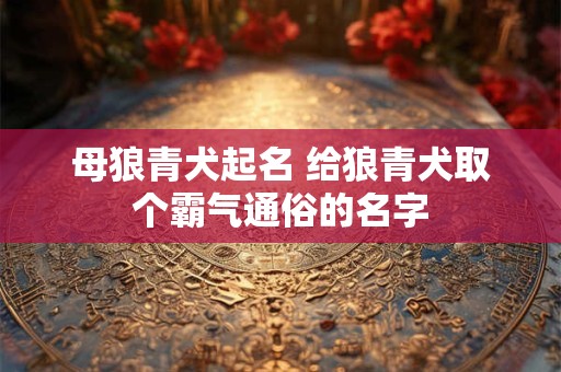 母狼青犬起名 给狼青犬取个霸气通俗的名字