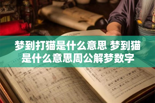 梦到打猫是什么意思 梦到猫是什么意思周公解梦数字