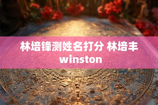 林培锋测姓名打分 林培丰 winston