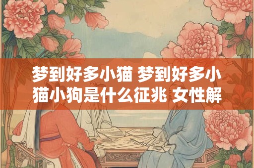 梦到好多小猫 梦到好多小猫小狗是什么征兆 女性解梦 梦到好多小猫 梦到好多小猫小狗是什么征兆 女性解梦
