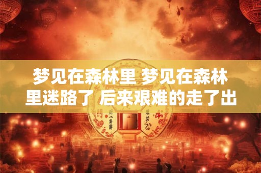 梦见在森林里 梦见在森林里迷路了 后来艰难的走了出来
