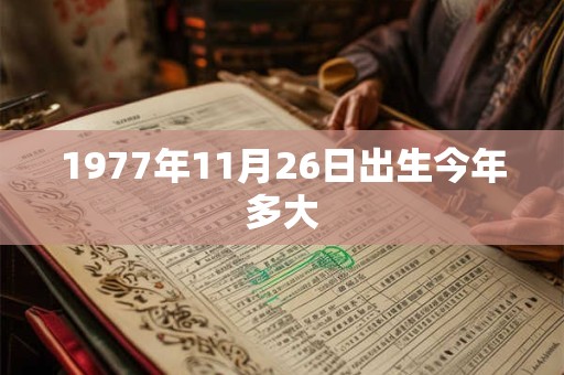 1977年11月26日出生今年多大