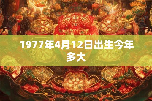 1977年4月12日出生今年多大