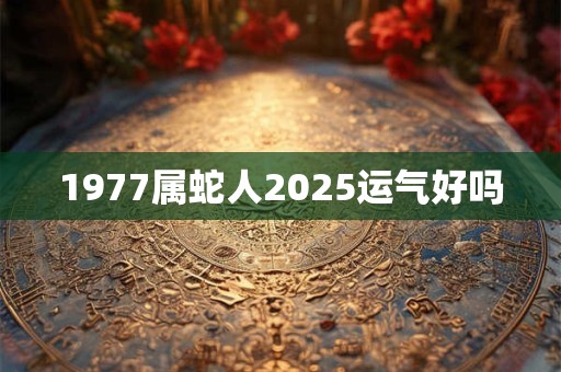 1977属蛇人2025运气好吗