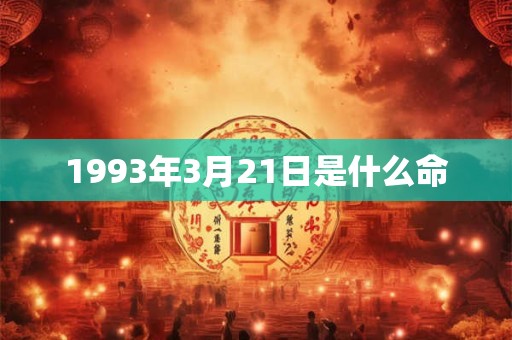 1993年3月21日是什么命
