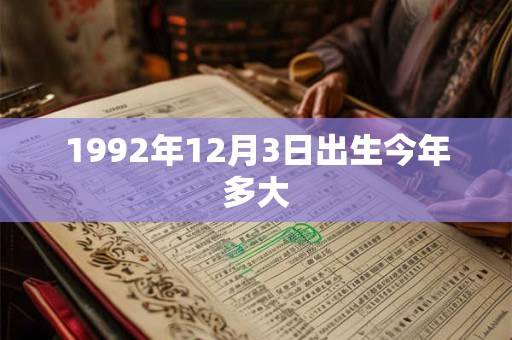1992年12月3日出生今年多大