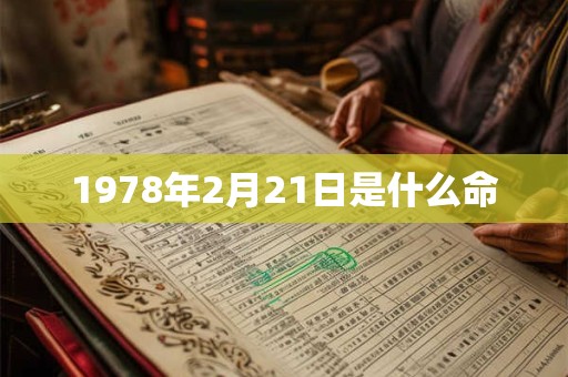 1978年2月21日是什么命