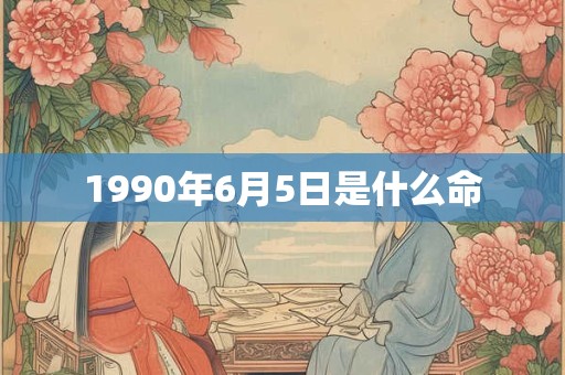 1990年6月5日是什么命