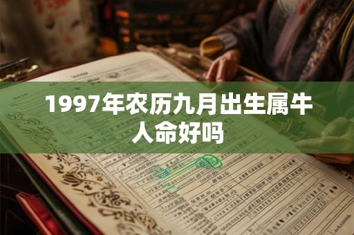 1997年农历九月出生属牛人命好吗