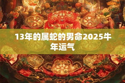13年的属蛇的男命2025牛年运气