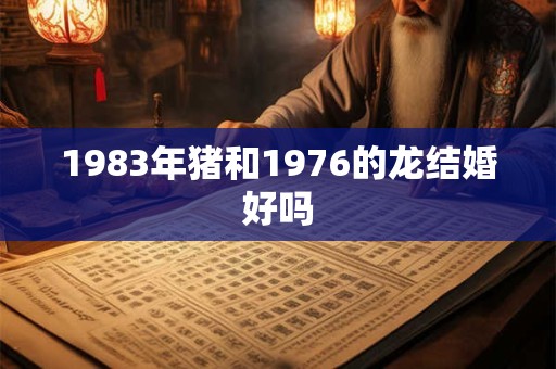 1983年猪和1976的龙结婚好吗 1983年猪和1976的龙结婚好吗