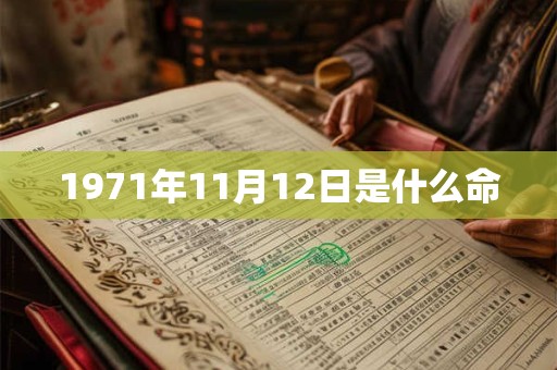 1971年11月12日是什么命